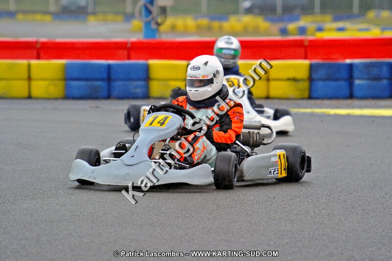 DSC_ (865).jpg